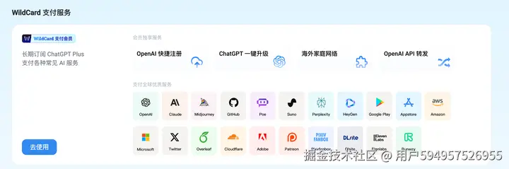 wildcard 订阅教程
