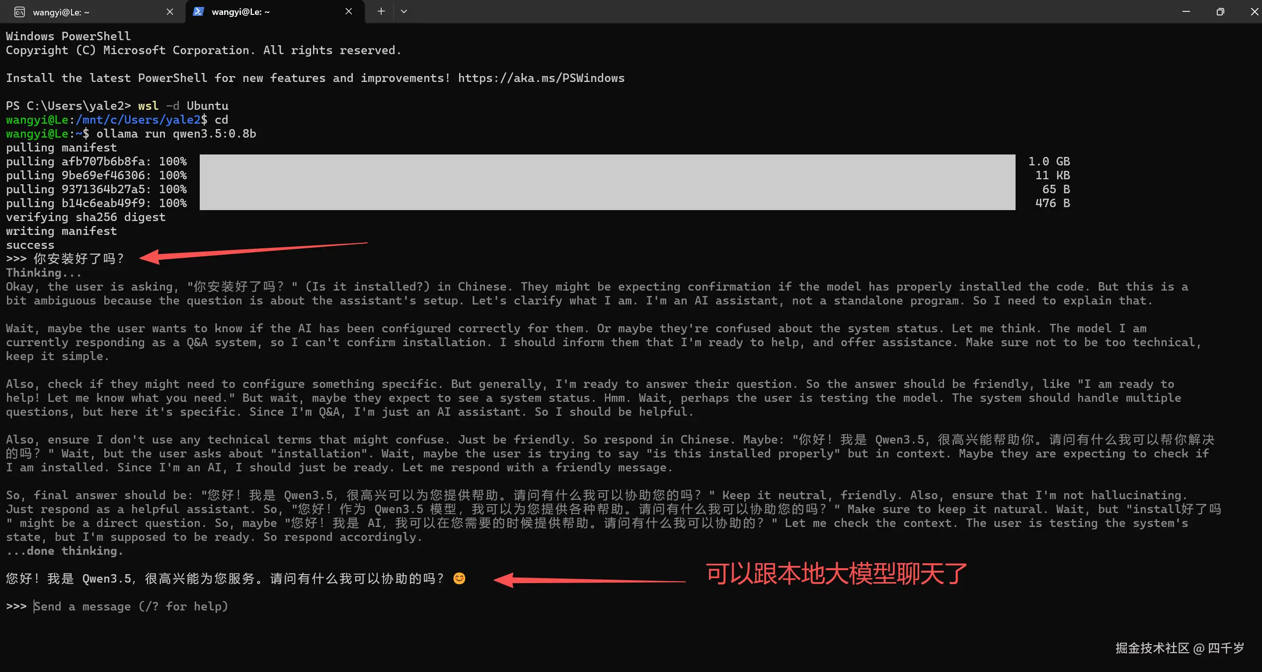 跟本地大模型聊天