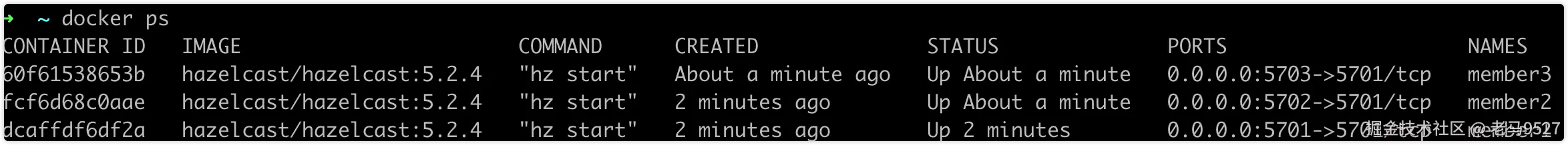 image-20230720164059795