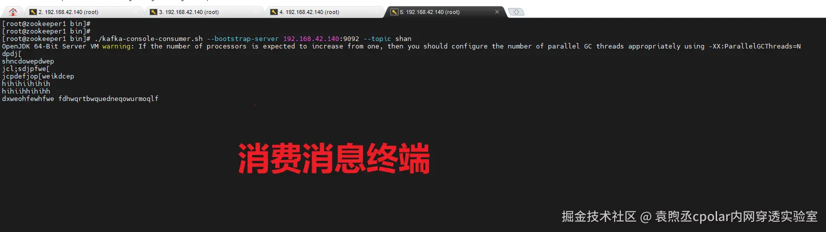 image-20251211161829581