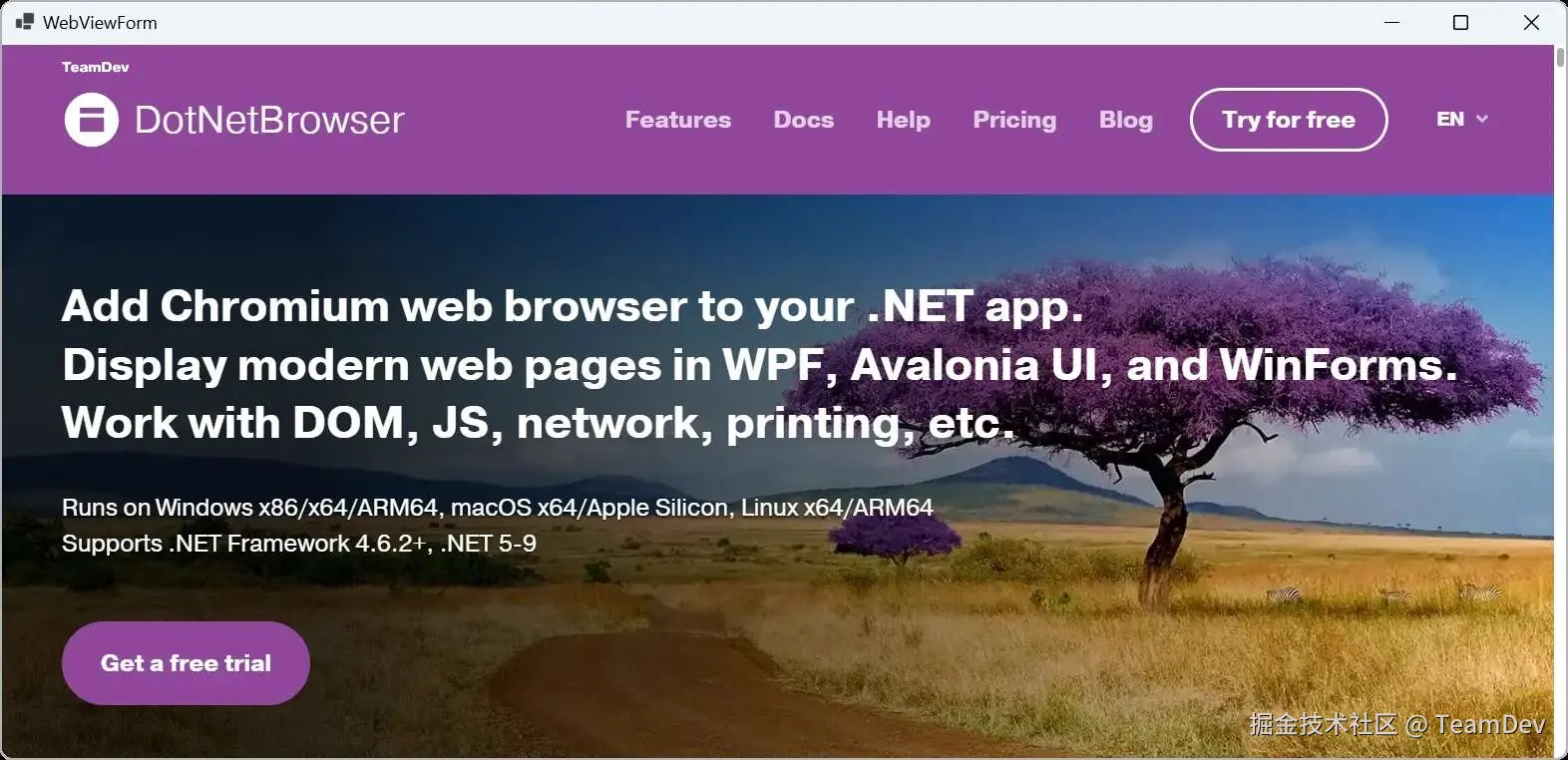 带有 DotNetBrowser 控件的 WinForms 应用程序。