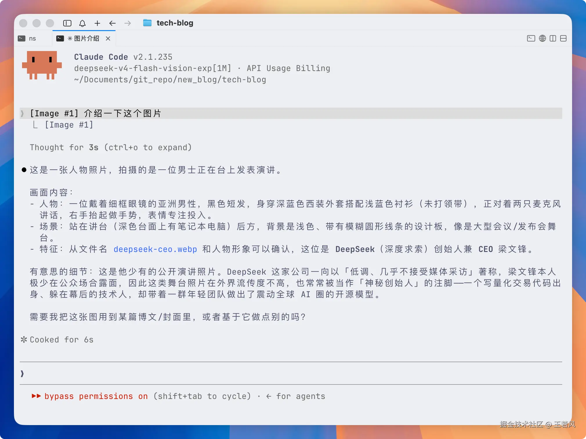 Claude Code CLI 图像识别测试结果