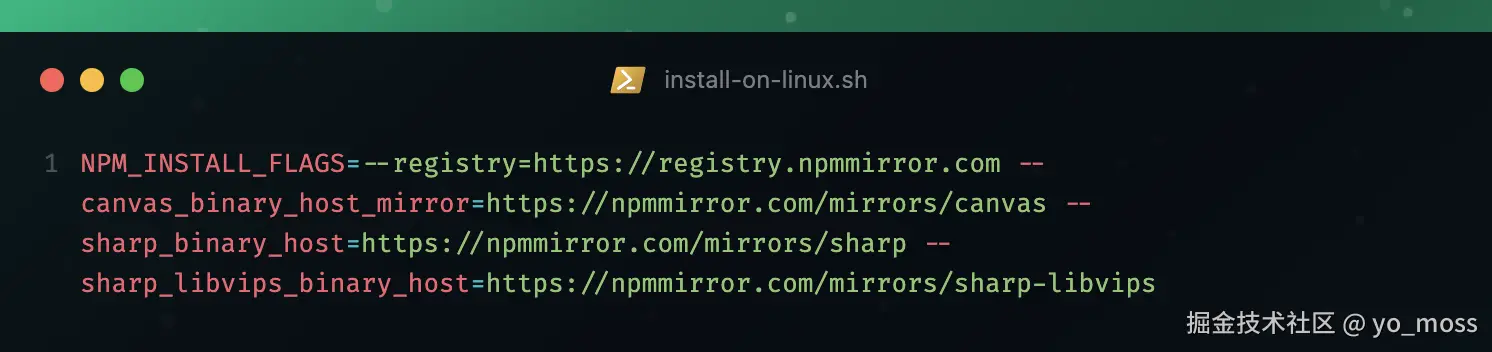 NPM_INSTALL_FLAGS设置