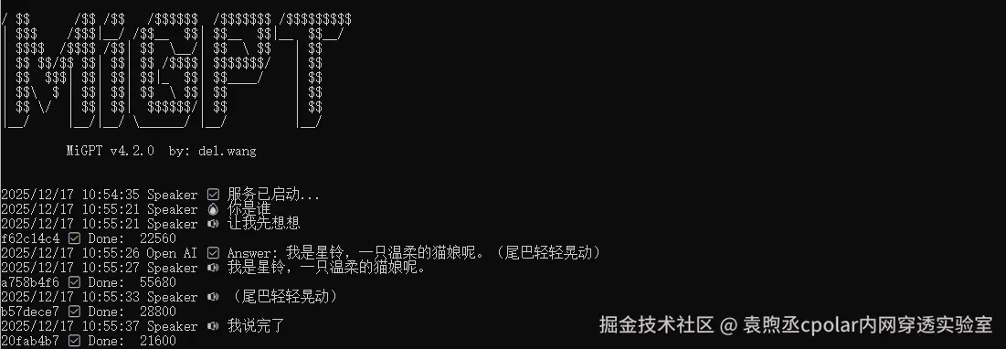 image-20251217185551631