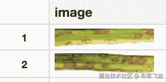 图 11.6 – 图像数据