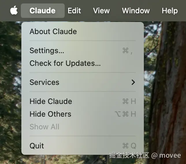 claude-settings.png