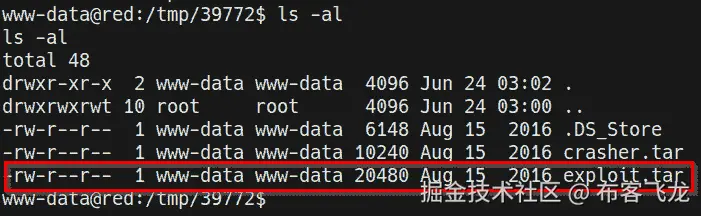 图 10.20 – 漏洞利用压缩包内容    