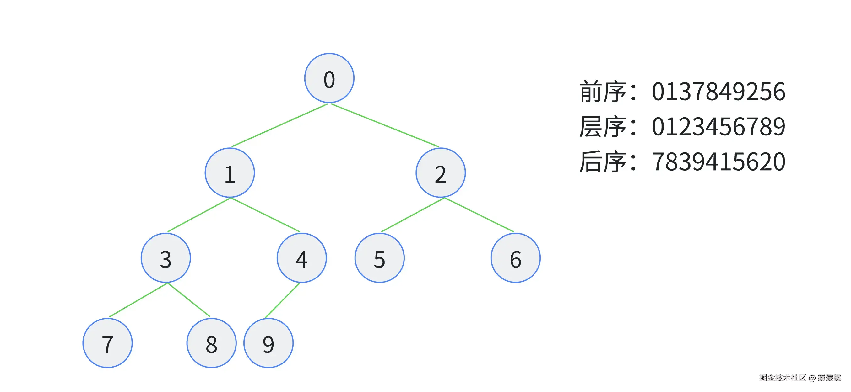 图：二叉树及遍历算法