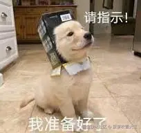 下载.jpg