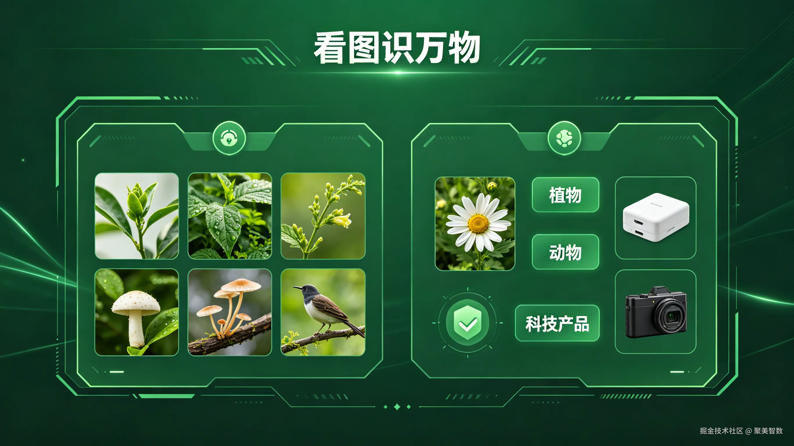 看图识万物图片生成 (2).png