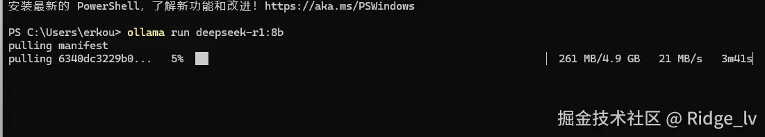 image-20250209114122819