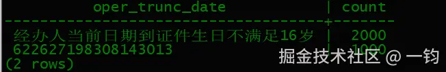 nvl2_vertica_out.png