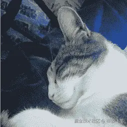 自动生成的文本描述