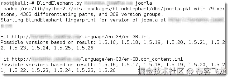 对网站进行侦察