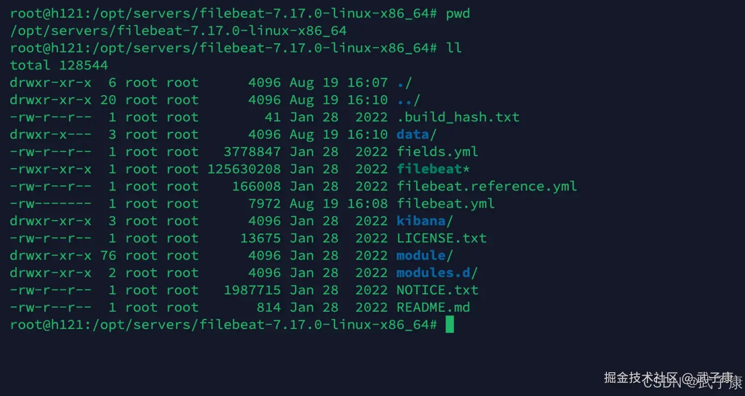 FileBeat 配置文件