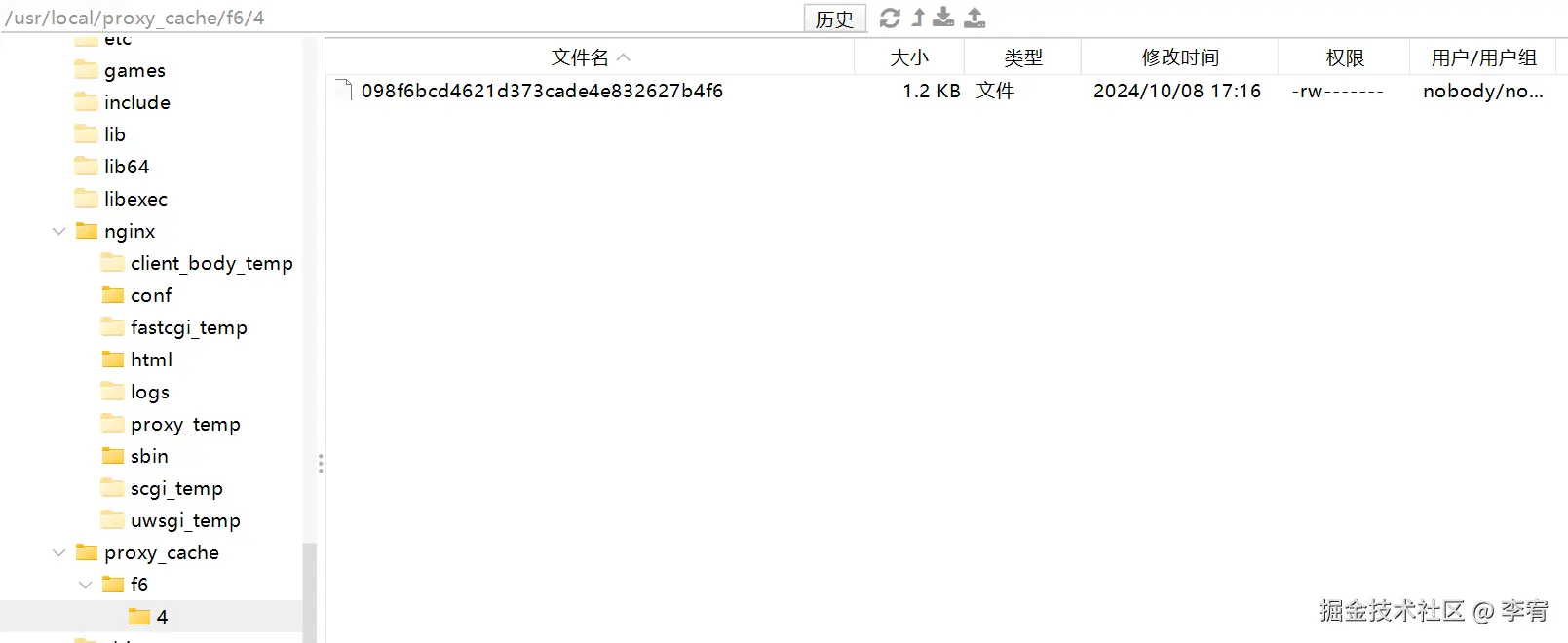 image-20241008173837953