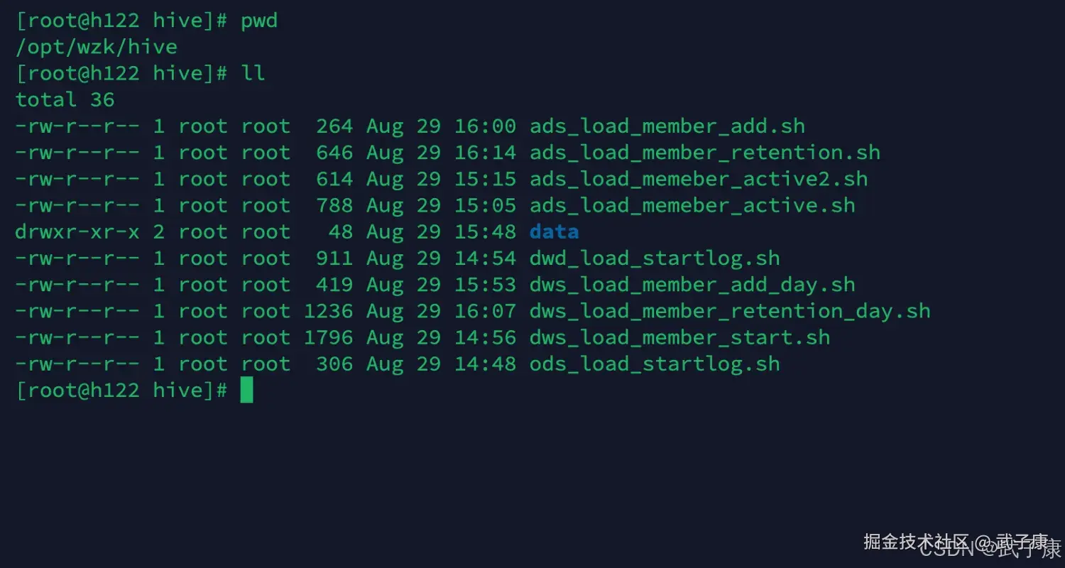 离线数仓 Hive 查看当前的脚本