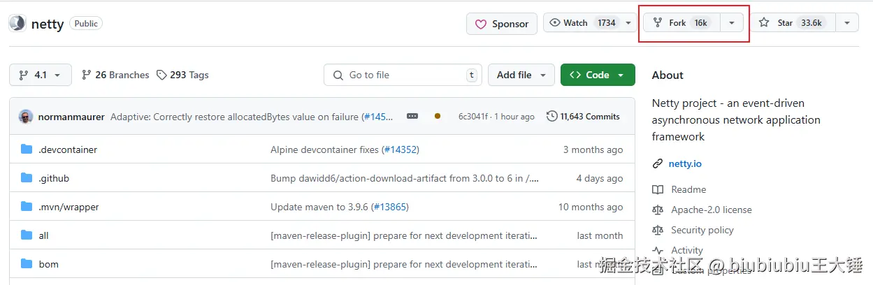 image-20241213221407795