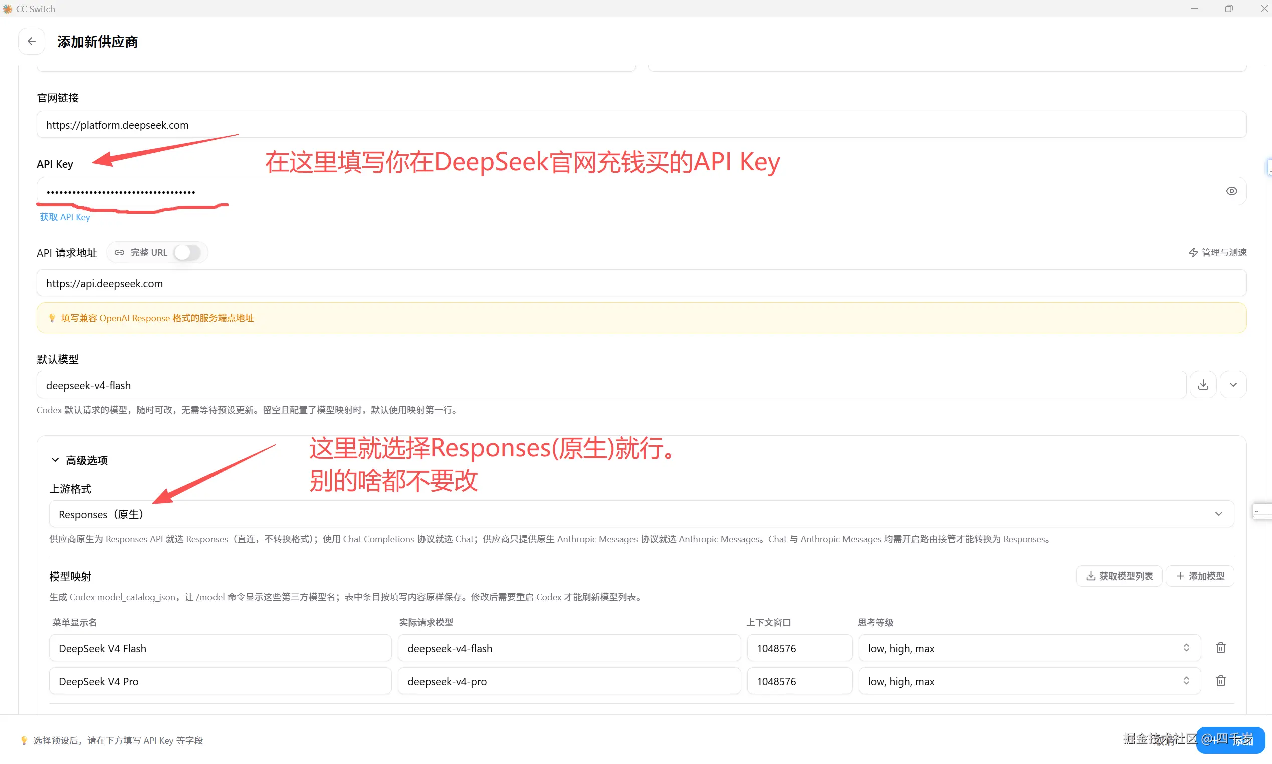 Filling in the DeepSeek API Key