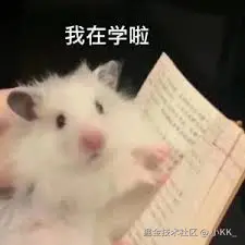 CSS浮动布局指南：从文档流到BFC