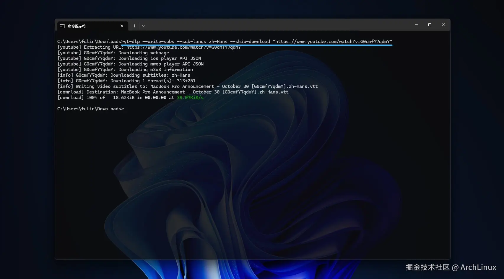 使用 yt-dlp 下载视频指定字幕文件