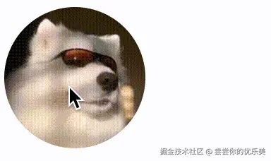 20241206154254-convert.gif