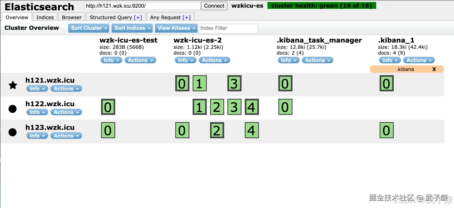 Elasticsearch 查看索引