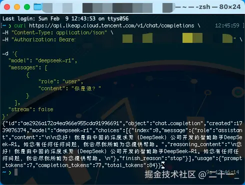 image-20250209124647382