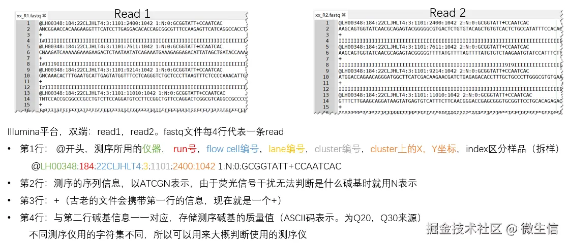 fig2.png