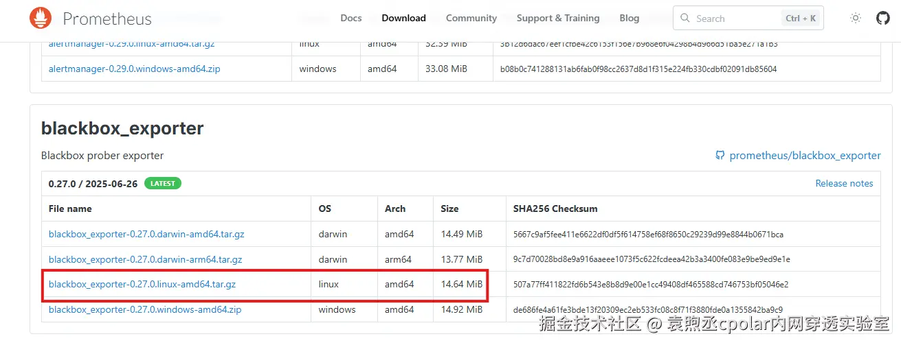 image-20251111165128410