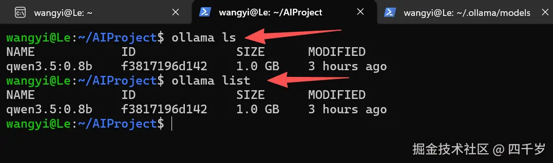 查看本地安装的大模型列表
