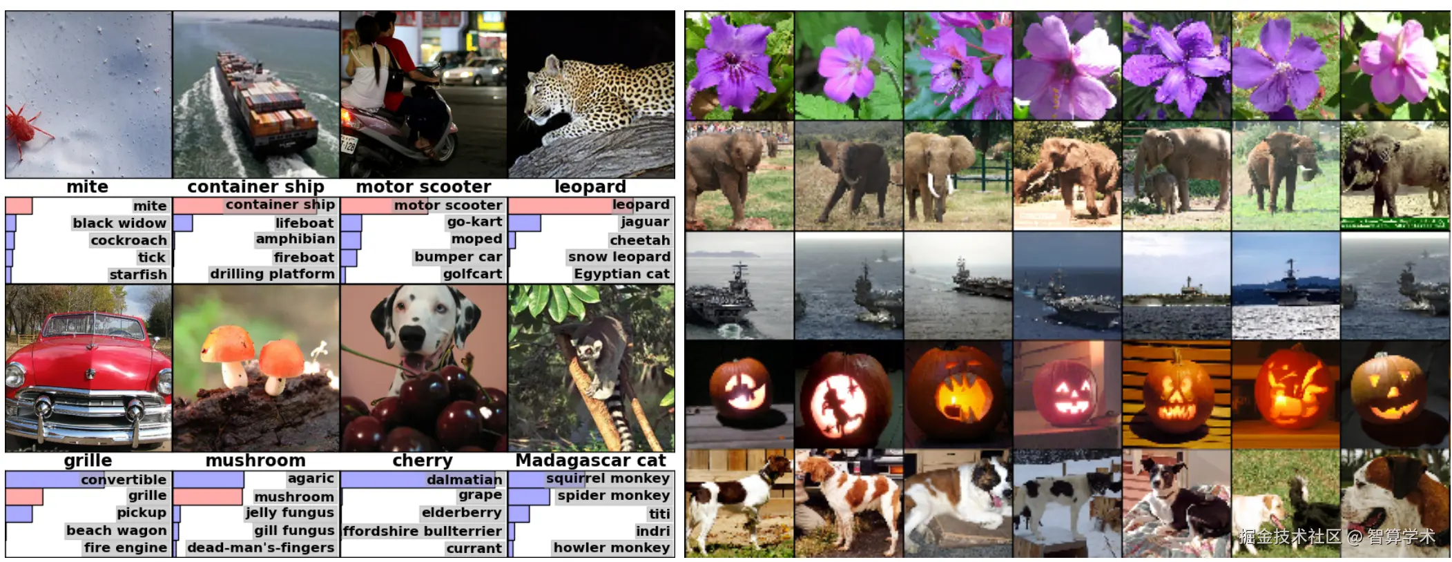 image-20241220104621767.png