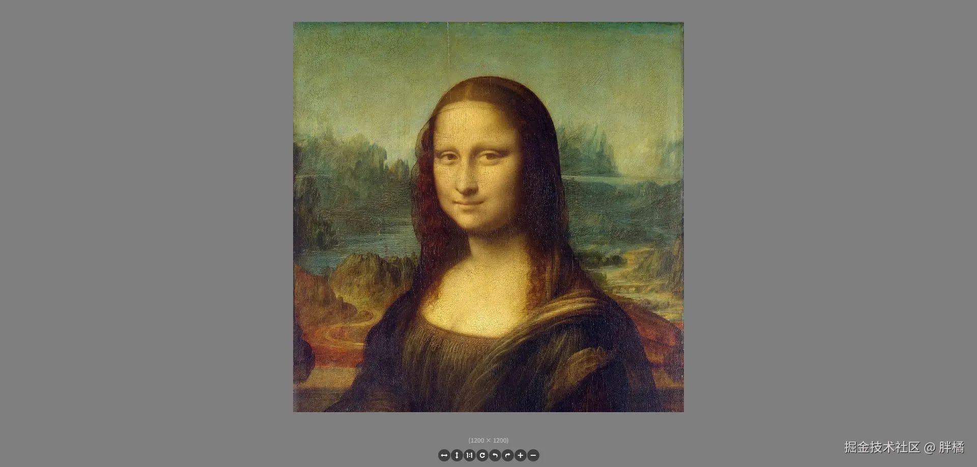 image-viewer.webp