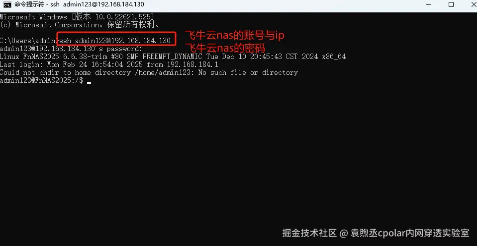 image-20250225152553263