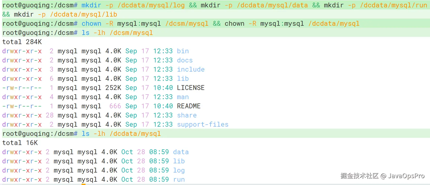 image-20241028170026153