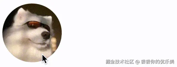 20241206152422.gif