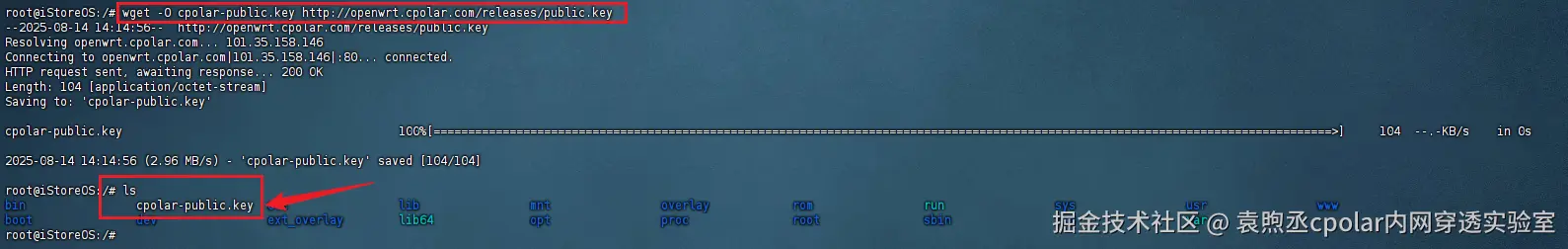 image-20250814141530244