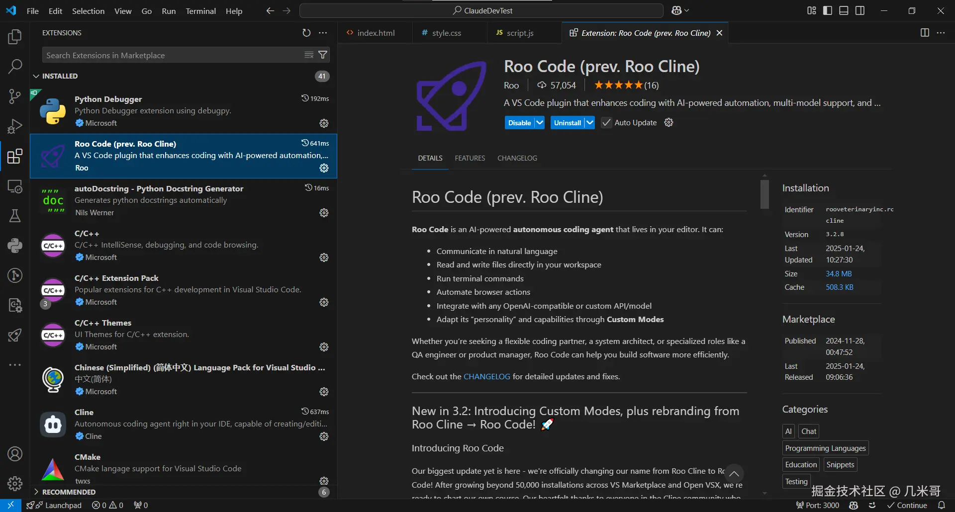 Roo Code安装界面