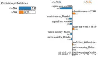 图 12.5：LIME 输出