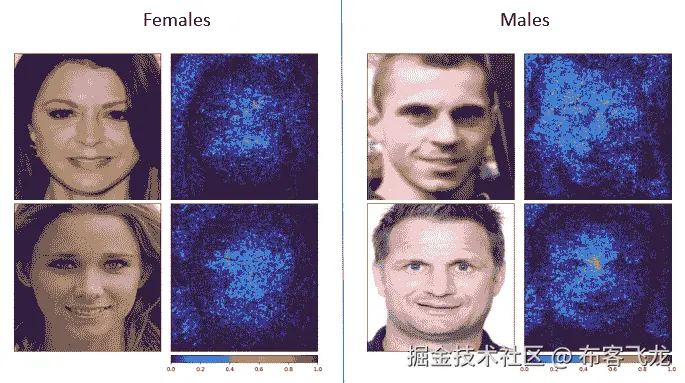 图 13.2 – 训练的 ResNet50 模型的显著性解释结果