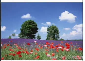 8f279587a8fc0473a3f242bdf982bec.png