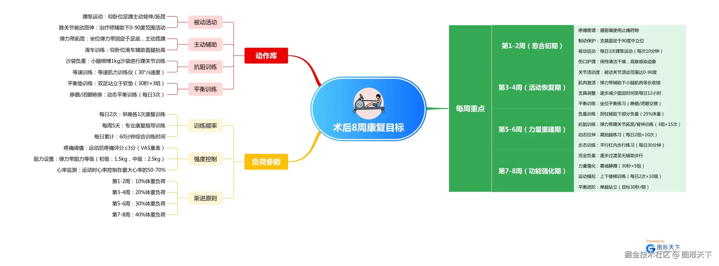 术后8周康复目标.jpeg
