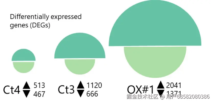 fig1.jpg