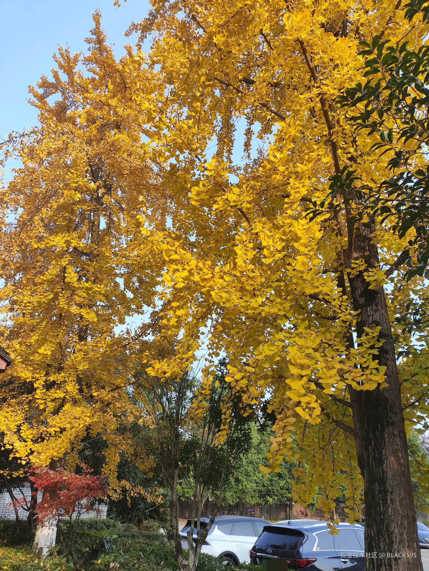 qq_pic_merged_1733237323111.jpg