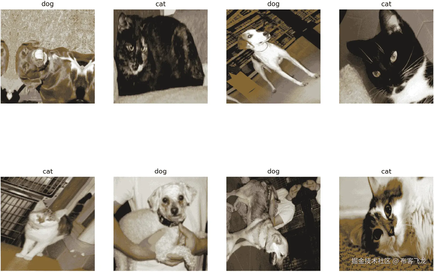 图 11.6 – 增强图像示例（有些已旋转，有些已镜像，还有些亮度和对比度已被修改）