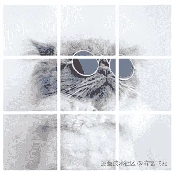 一只戴着墨镜的猫 由系统自动生成的描述