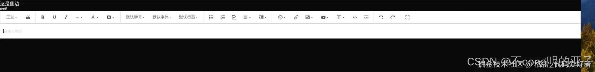 在这里插入图片描述