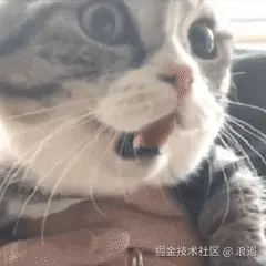 沙雕表情.gif