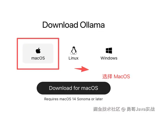 image-20251115204120250